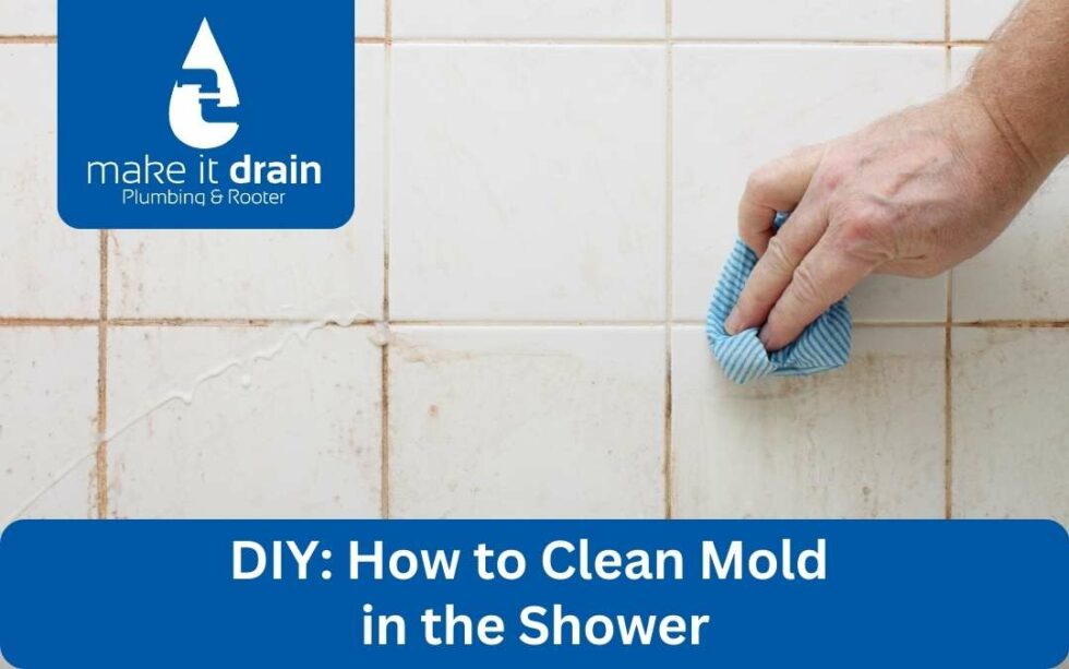DIY How to Clean Mold in the Shower