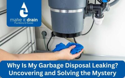 Why Is My Garbage Disposal Leaking? Uncovering and Solving the Mystery